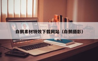 瑞安白鹅素材特效下载网站（白鹅摄影）